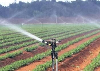 Drip Irrigation