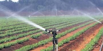Drip Irrigation