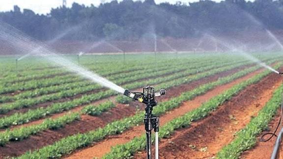 Drip Irrigation
