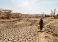 Drought Assessment