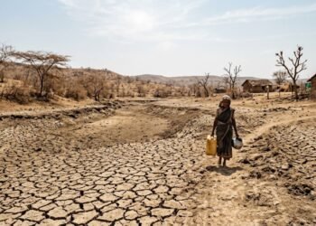 Drought Assessment