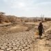 Drought Assessment