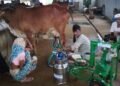 Increase Milk Production
