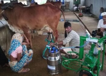Increase Milk Production
