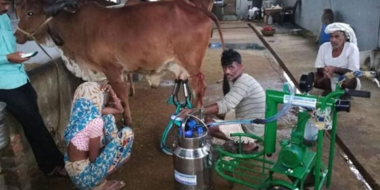 Increase Milk Production
