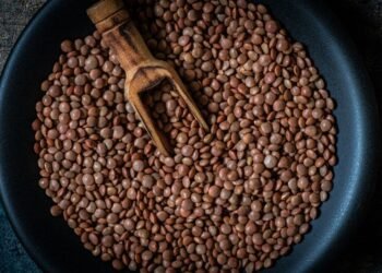Lentil Farming Tips