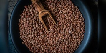 Lentil Farming Tips