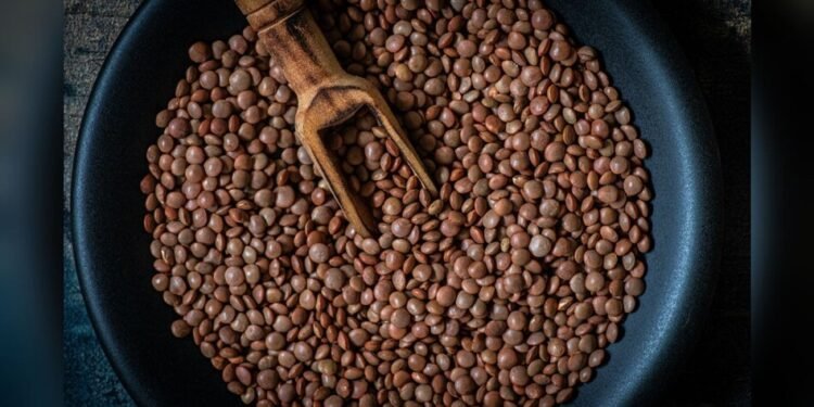 Lentil Farming Tips