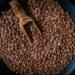 Lentil Farming Tips