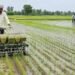 Low Water Farming in India