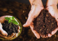 Organic Farming 