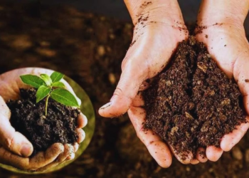 Organic Farming 