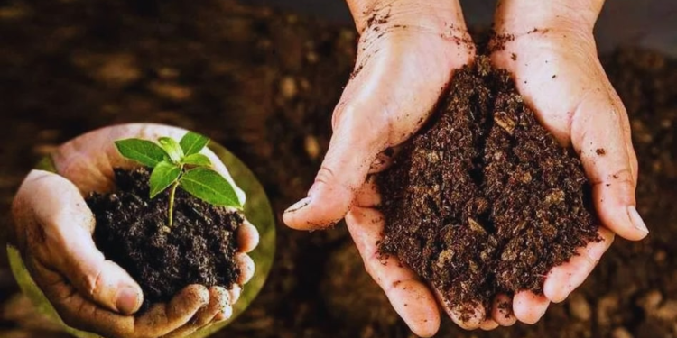 Organic Farming 