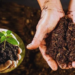Organic Farming 