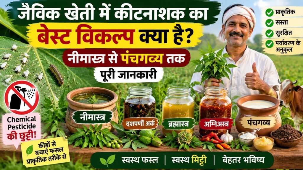 Organic Farming