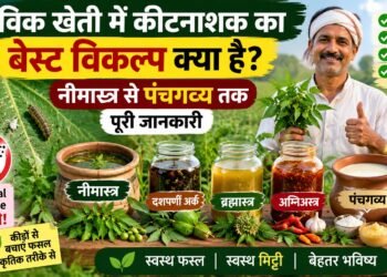 Organic Farming