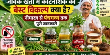 Organic Farming