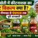 Organic Farming
