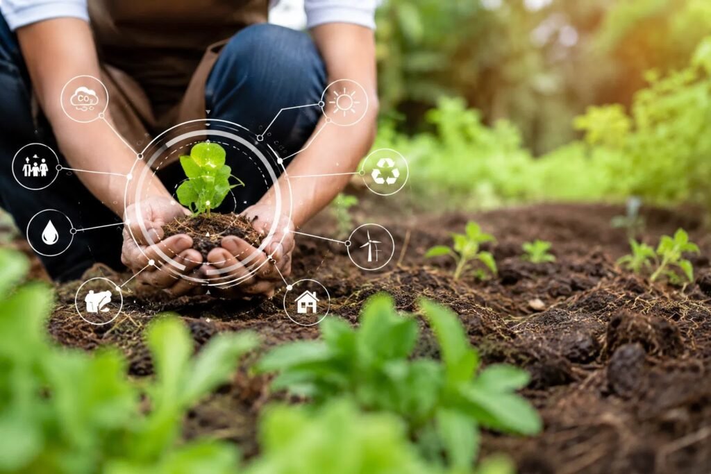 Organic Farming Business