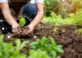 Organic Farming Business