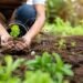 Organic Farming Business