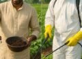 Jeevamrit benefits
