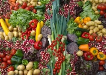 Organic Vegetable Farming