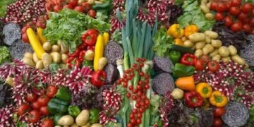 Organic Vegetable Farming