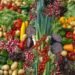 Organic Vegetable Farming