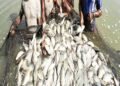 भारत में आधुनिक मत्स्य पालन और जलीय खेती: आत्मनिर्भर भारत और विकसित भारत की दृष्टि के लिए ब्लू इकॉनमी में आर ए एस और बायोफ्लॉक तकनीक का दोहन