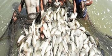 भारत में आधुनिक मत्स्य पालन और जलीय खेती: आत्मनिर्भर भारत और विकसित भारत की दृष्टि के लिए ब्लू इकॉनमी में आर ए एस और बायोफ्लॉक तकनीक का दोहन
