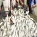भारत में आधुनिक मत्स्य पालन और जलीय खेती: आत्मनिर्भर भारत और विकसित भारत की दृष्टि के लिए ब्लू इकॉनमी में आर ए एस और बायोफ्लॉक तकनीक का दोहन