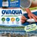 New Initiatives in Fish Breeding: