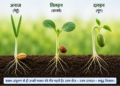 The importance of seeds in the era of climate change