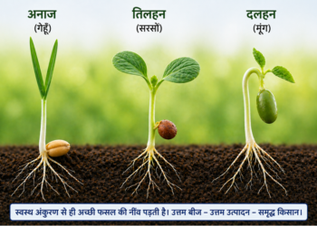 The importance of seeds in the era of climate change