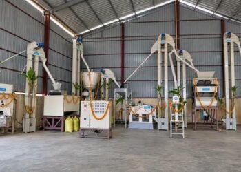 मिलेट्स से बाजार तक नई दिशा