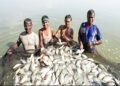 Fisheries Department to launch Special Campaign 6.0 from October 2 to 31