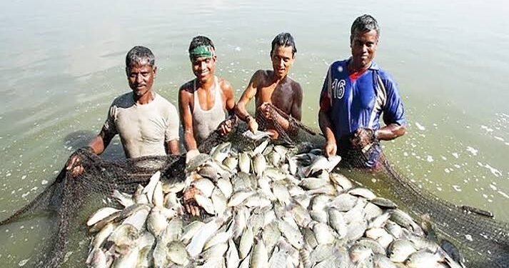 Fisheries Department to launch Special Campaign 6.0 from October 2 to 31