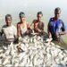 Fisheries Department to launch Special Campaign 6.0 from October 2 to 31