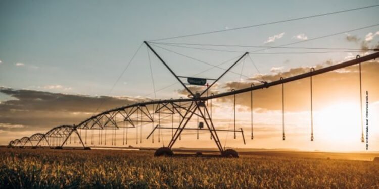 Sensor Based Irrigation