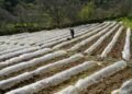 Smart Farming