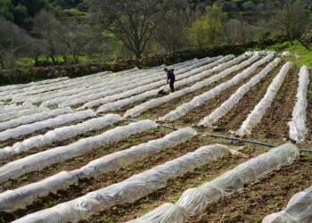 Smart Farming