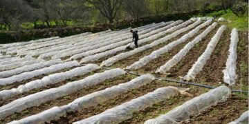 Smart Farming