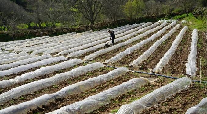 Smart Farming