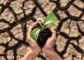 Soil Nutrient Depletion