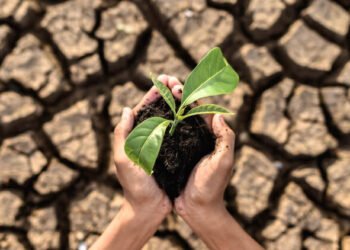 Soil Nutrient Depletion