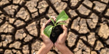 Soil Nutrient Depletion
