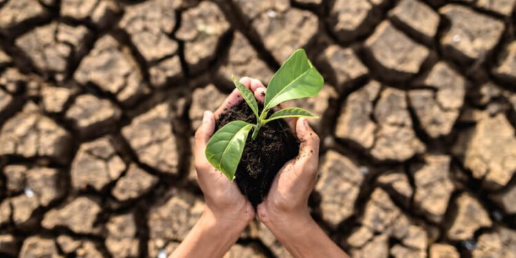 Soil Nutrient Depletion