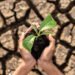 Soil Nutrient Depletion