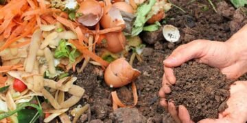 Soil Organic Carbon